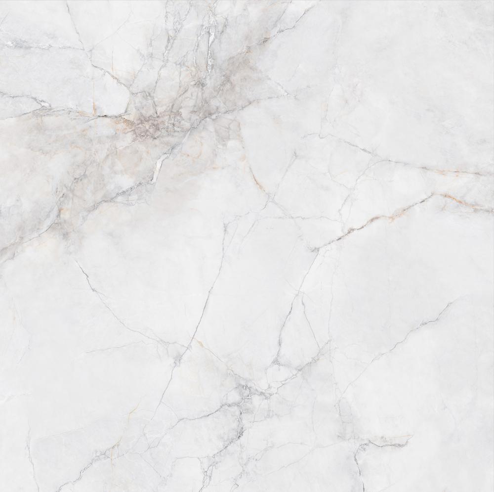 TMD202EN0575  新寒江雪