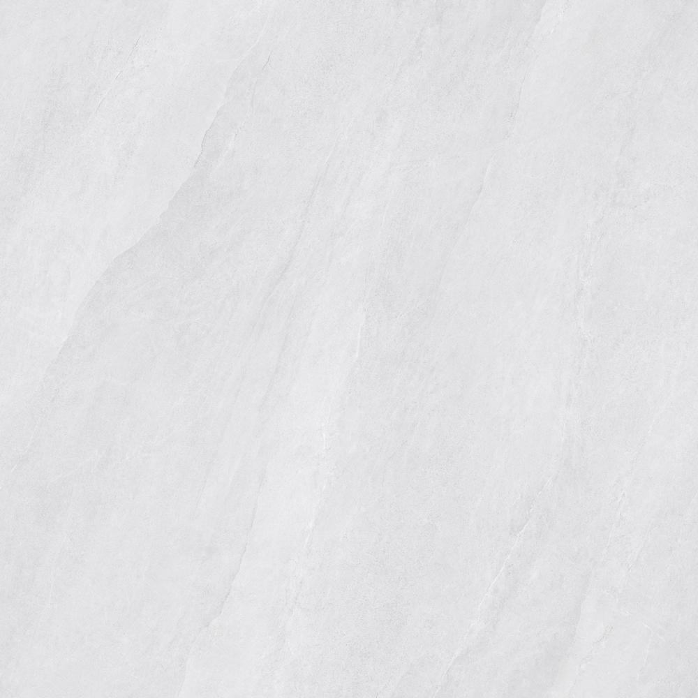 TDA08GP0653 銀羽灰