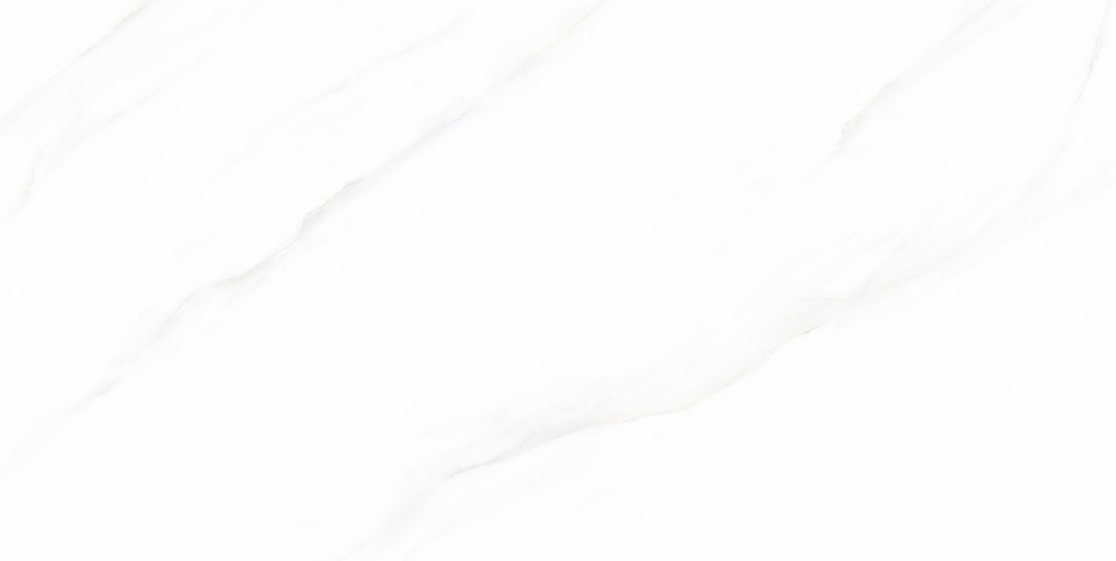 TVX14P0697 雪域白